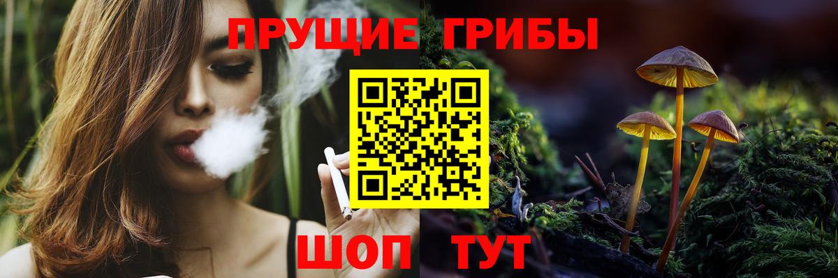Зеленогорск  Псилоцибиновые грибы Psilocybe  Вход с VPN  Псилоцибиновые грибы мухоморы 